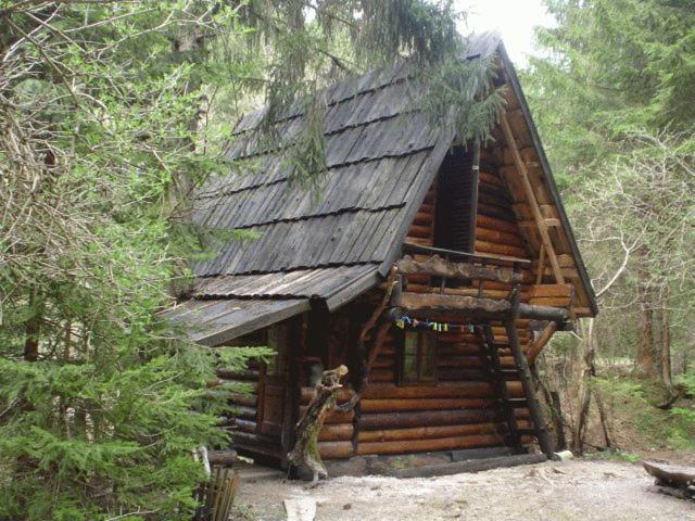 Holiday Park Zelenkovac Podrasnica Exterior foto